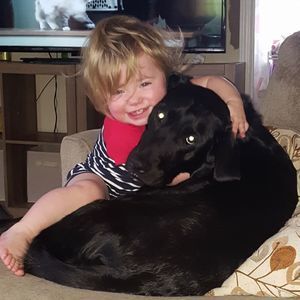 Meet your Posher, Shelby